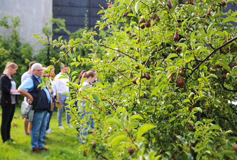 Naturexkursion durch Humbel's Obstgarten